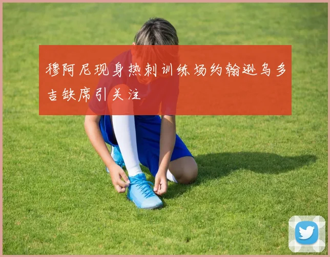 穆阿尼现身热刺训练场约翰逊乌多吉缺席引关注
