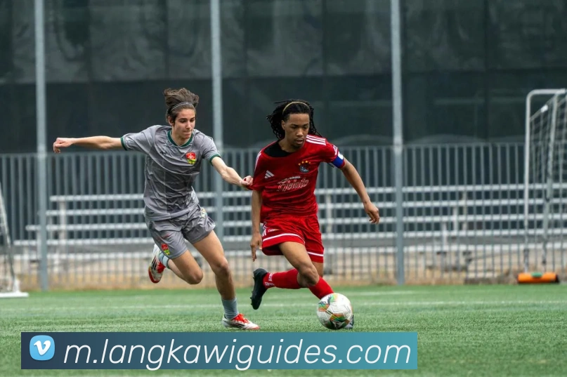 开元网页版发展历程